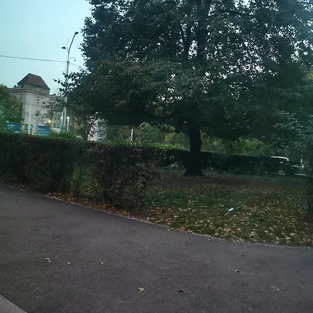 Homestay Near Ice Arena *